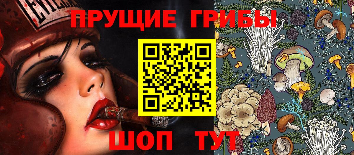 Псилоцибиновые грибы ЛСД Тавда