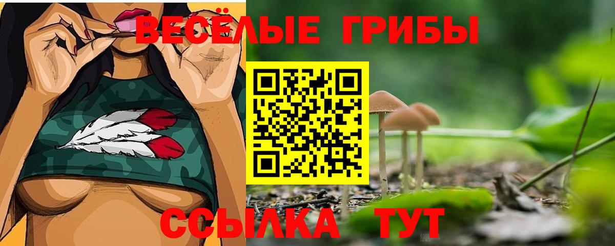 Галлюциногенные грибы GOLDEN TEACHER  Галлюциногенные грибы мицелий  Вход с VPN  Тавда 